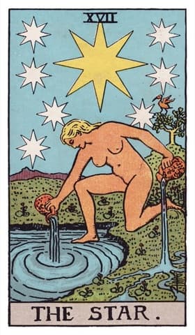 The Star